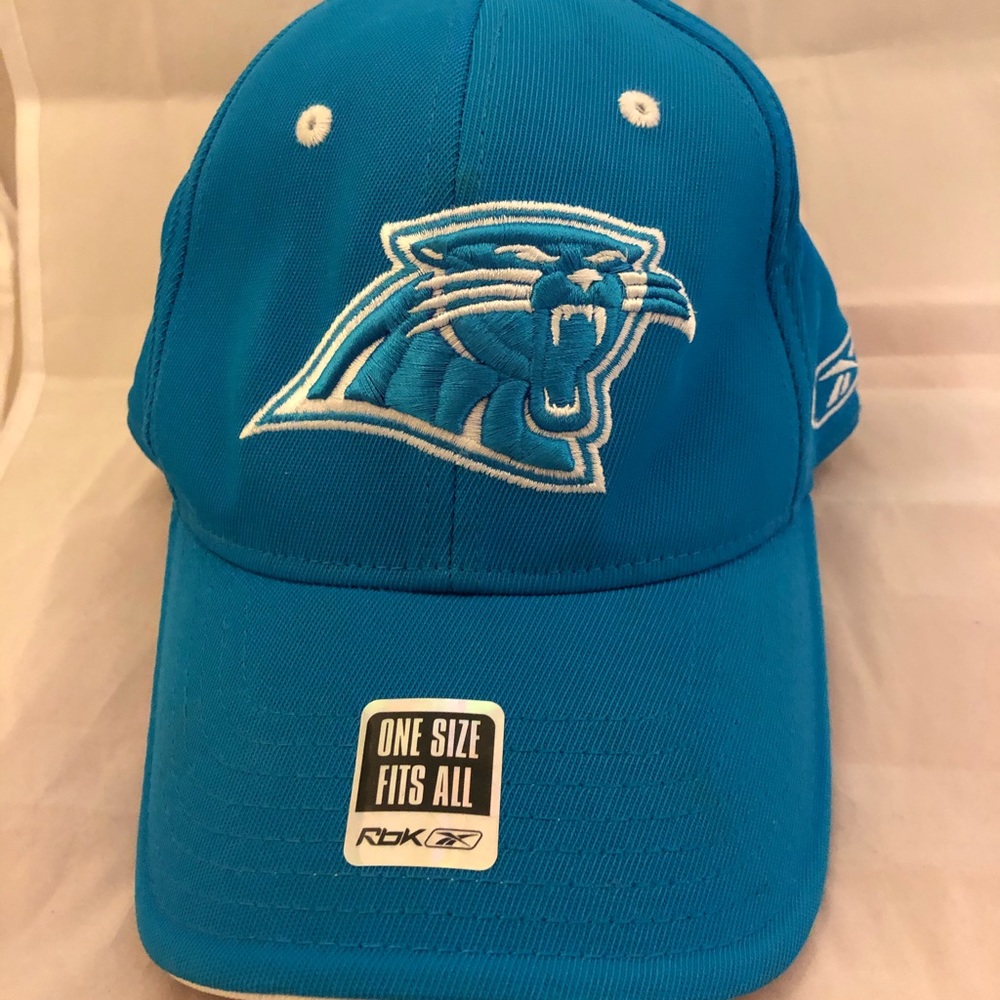 Panthers sports cap